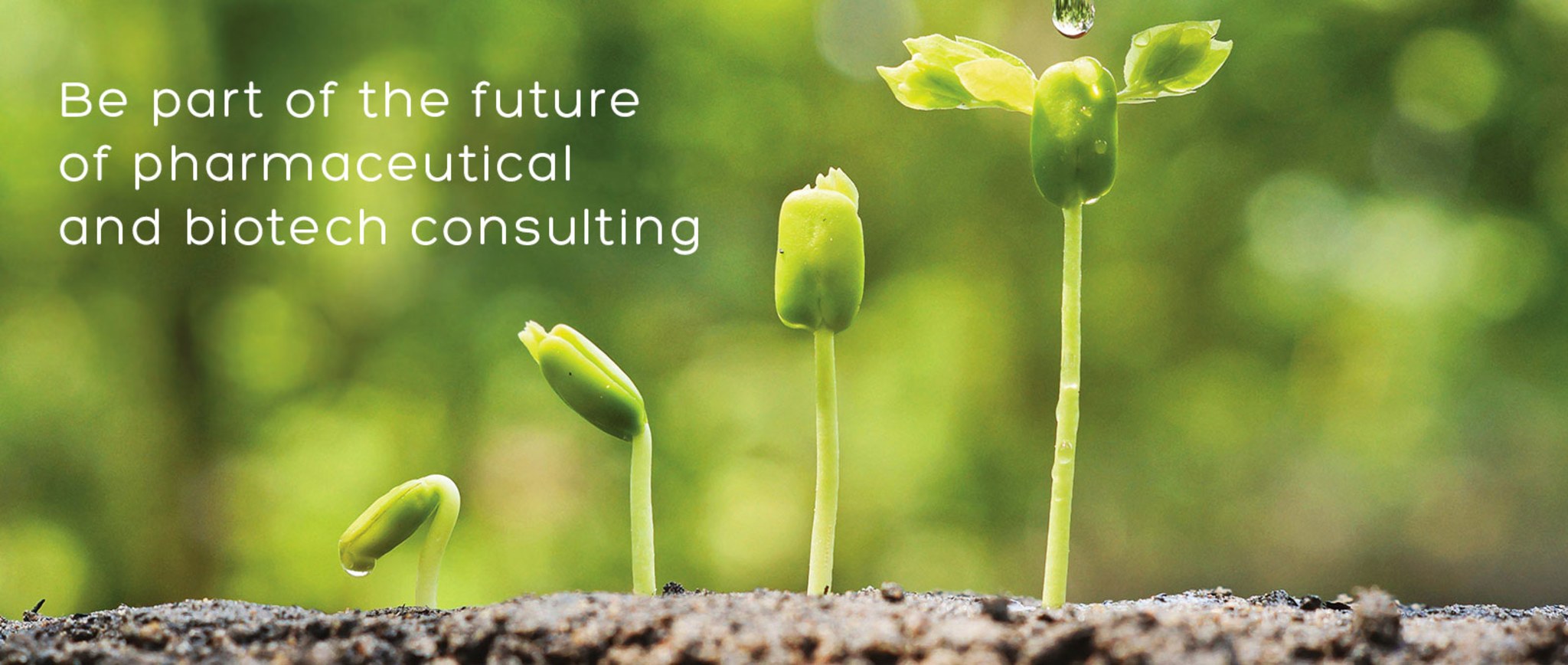 Welk als stagiair, student of young professional bij Consultys