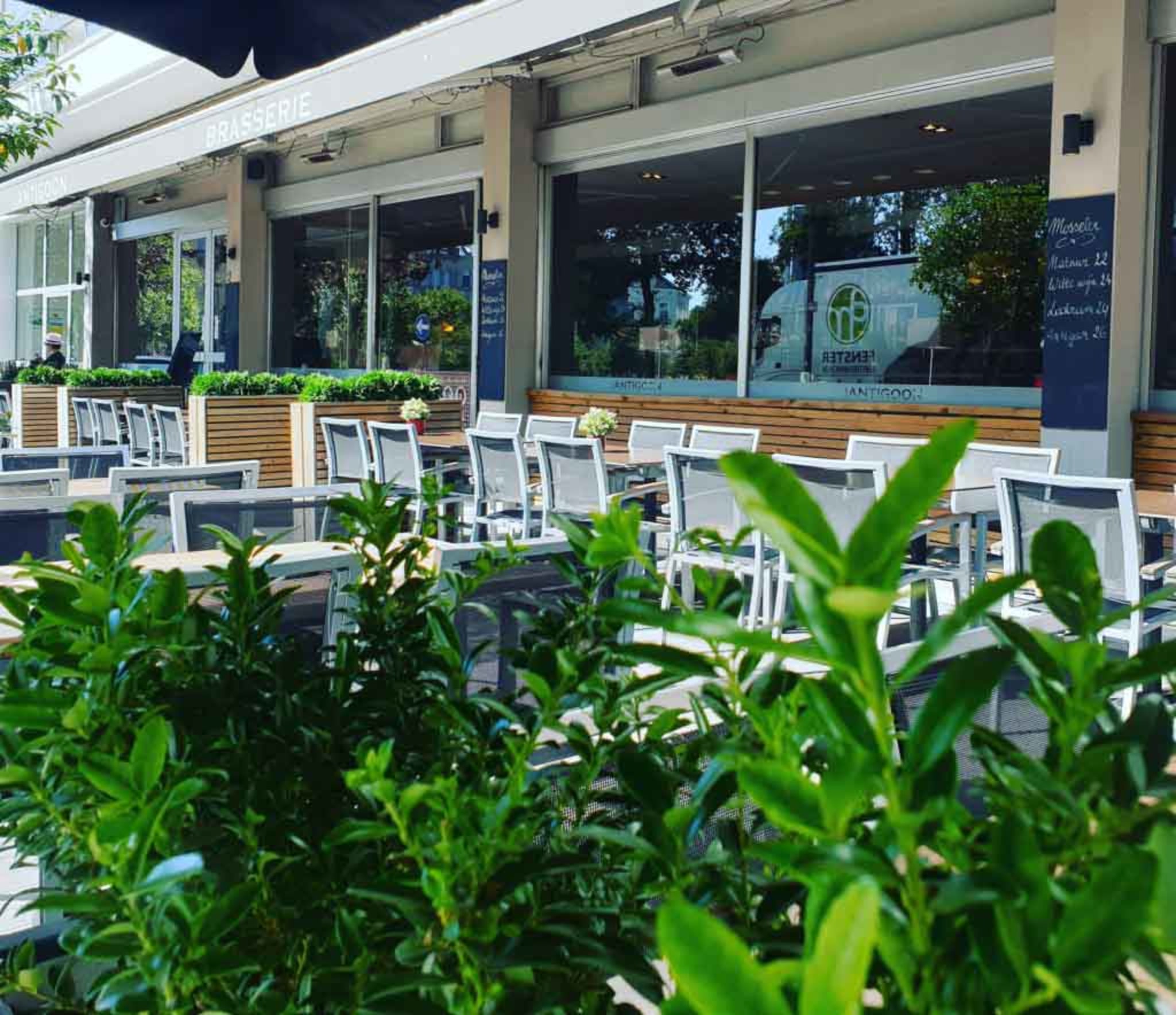 Welk als stagiair, student of young professional bij Brasserie den Antigoon