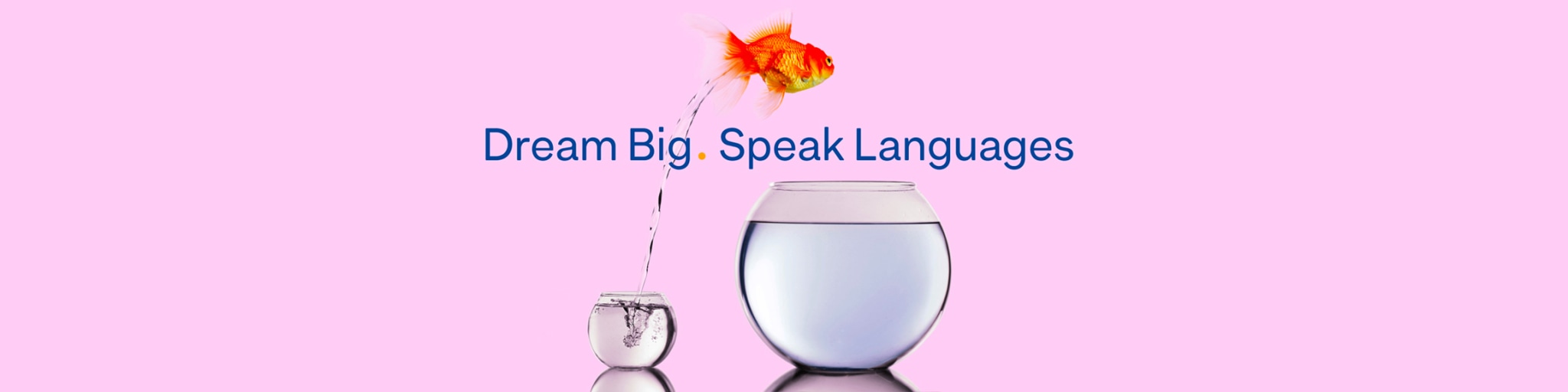 Welk als stagiair, student of young professional bij CLL Centres de Langues