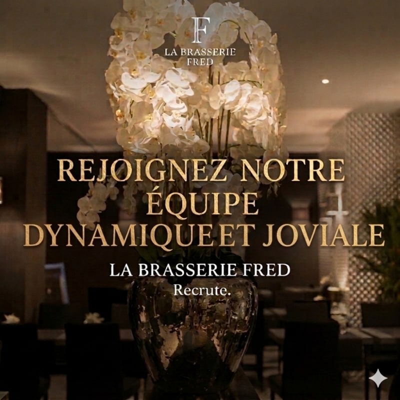 JOB ETUDIANT.  Service salle, cuisine  - job étudiant chez brasserie fred