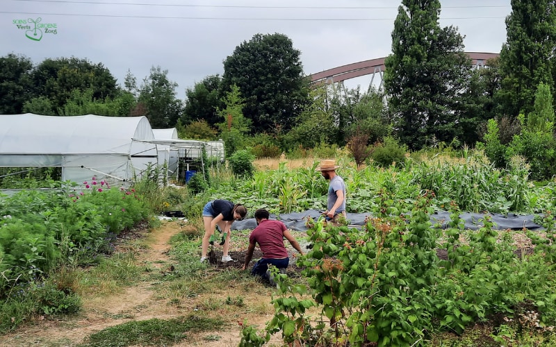 Stage Communicatie - internship offer at Fondation Terre de Vie