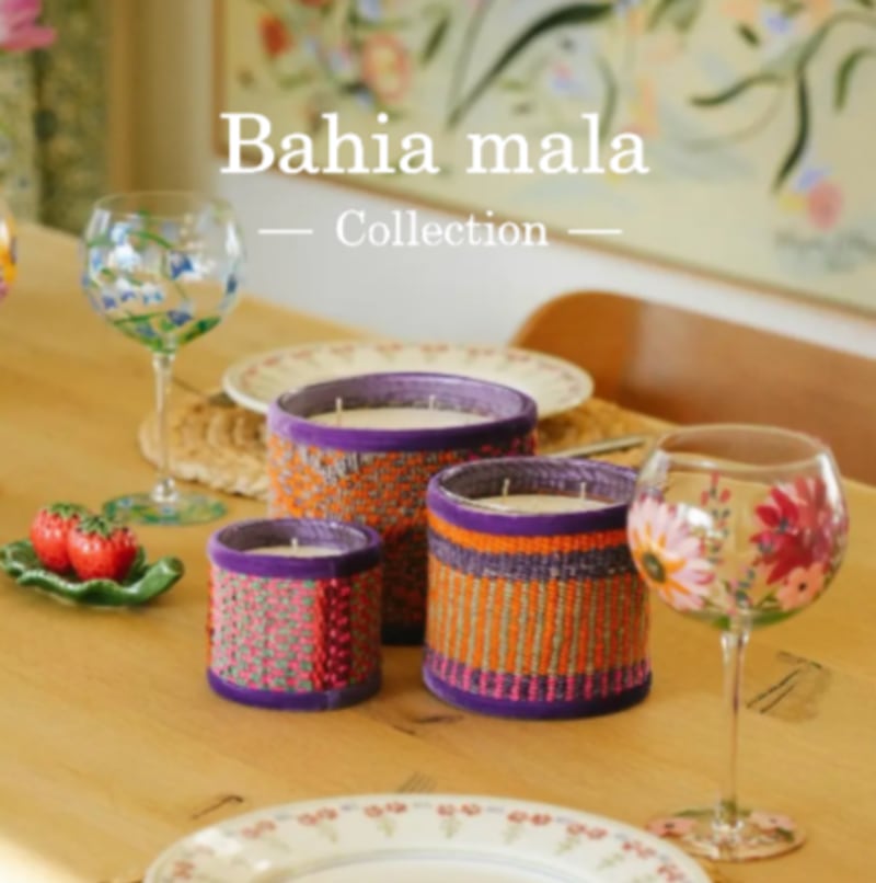 Stagiaire Développement Commercial - internship offer at Bahia mala SRL