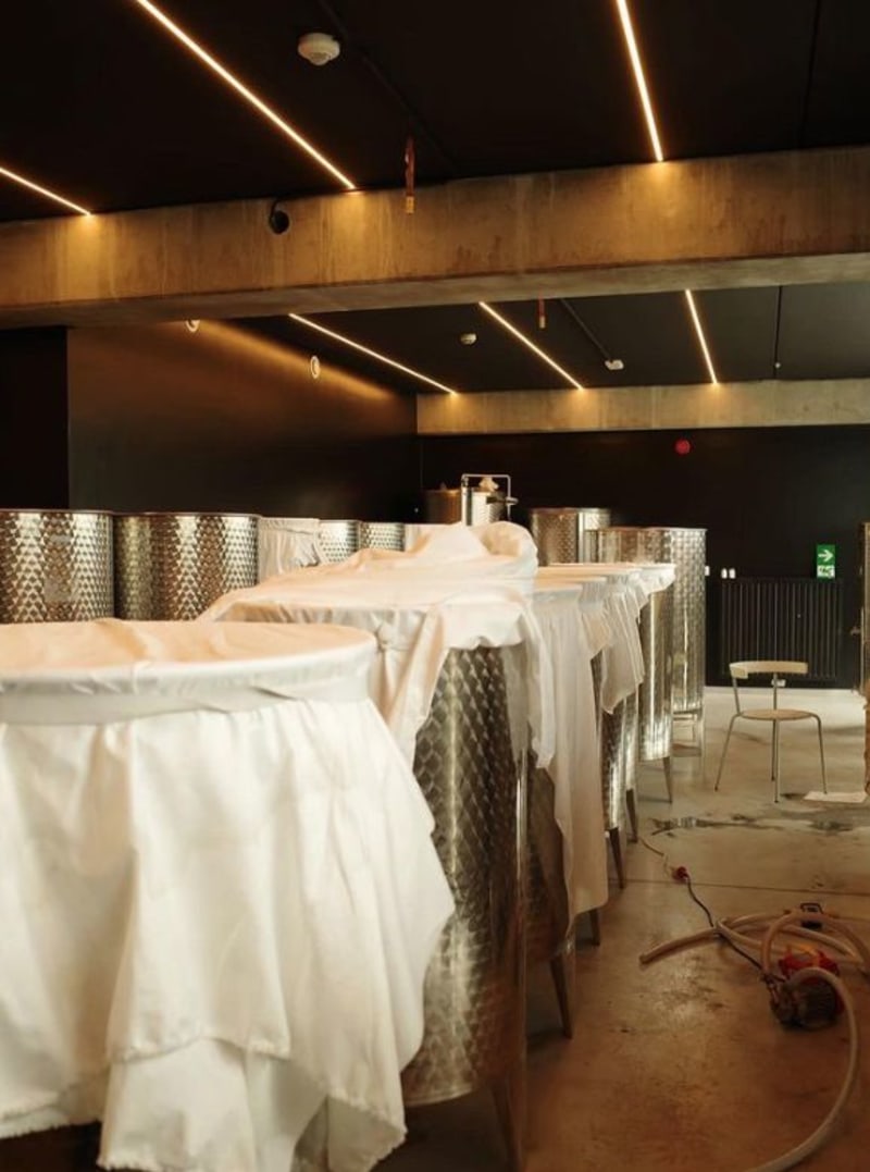 FMCG - Production & Quality  - internship offer at RISH