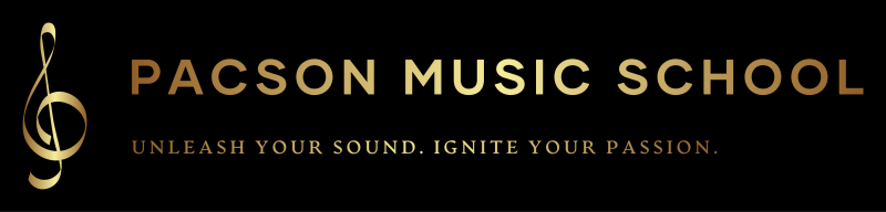 Finance & Control Intern - Pacson Music Studios - stage bij Pacson Studios