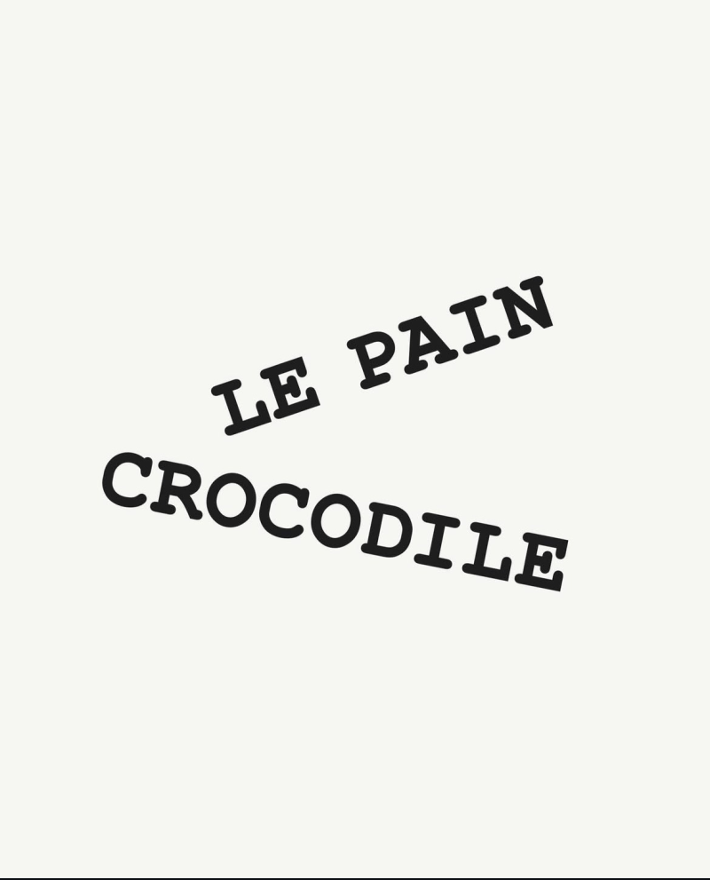 AIN CROCODILE ZOEKT EEN NEDERLANDSTALIGE JOBSTUDENT - studentenjob bij Le pain crocodile
