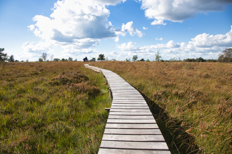 Sustainability Intern - stage bij Spadel