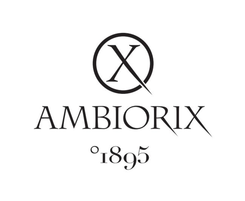 Ambiorix schoenen antwerpen best sale
