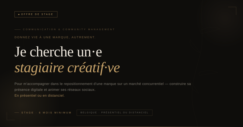 un·e stagiaire créatif·ve pour m'accompagner dans le repositionnement d'une marque sur un marché concurrentiel - internship offer at MV & CO Consult SRL