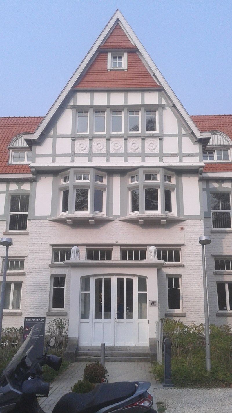 Stage en communication - stage bij Human Waves