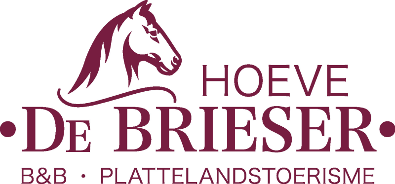 Bediening zomerbar - studentenjob bij Hoeve De Brieser B&B