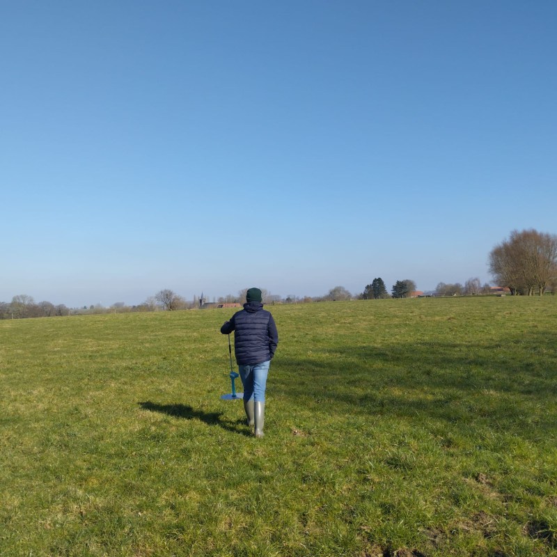 Stage de terrain - valorisation des prairies - internship offer at GAL des Plaines de l'Escaut