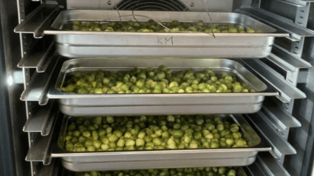 🥬 Slim koelen, duurzamer eten : bachelorproef binnen een Europees Onderzoeksproject banner image