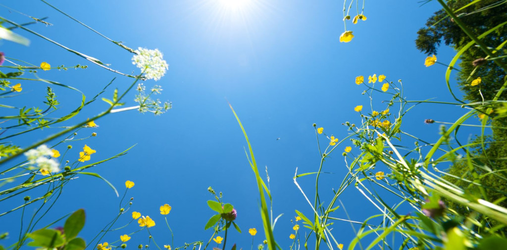 Zomerjobs 2025: de beste kansen voor studenten in België banner image