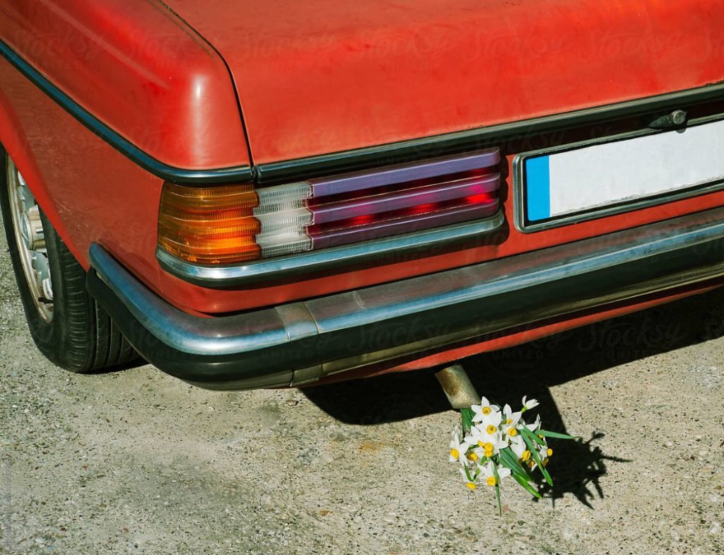 Nu online op Student.be: de "impact"-filter banner image