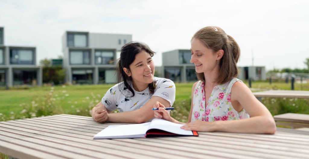 Bijles geven als student, wat zijn mijn opties? banner image