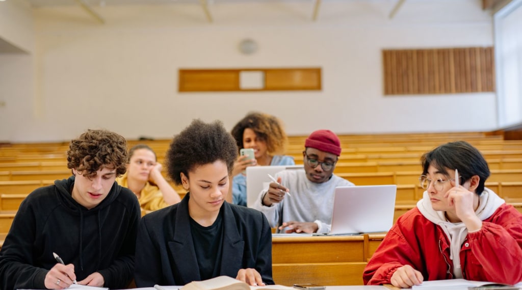 University Colleges in French-Speaking Belgium 🏫 banner image