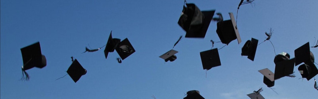 Hoe zit het hoger onderwijs in elkaar? banner image