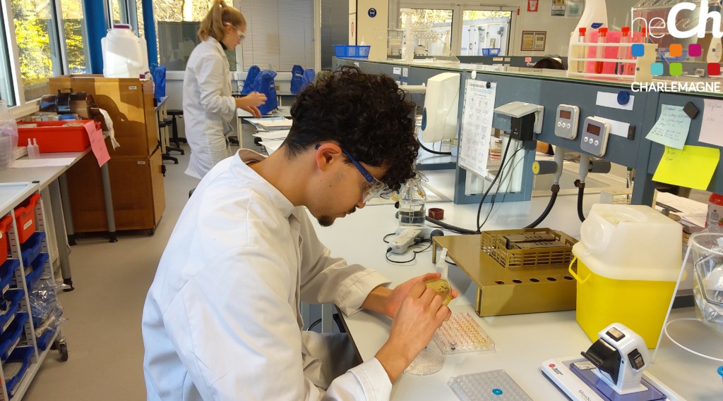 Au coeur de l'avenir biomédical avec le métier de TLM (technologue de laboratoire médical) banner image