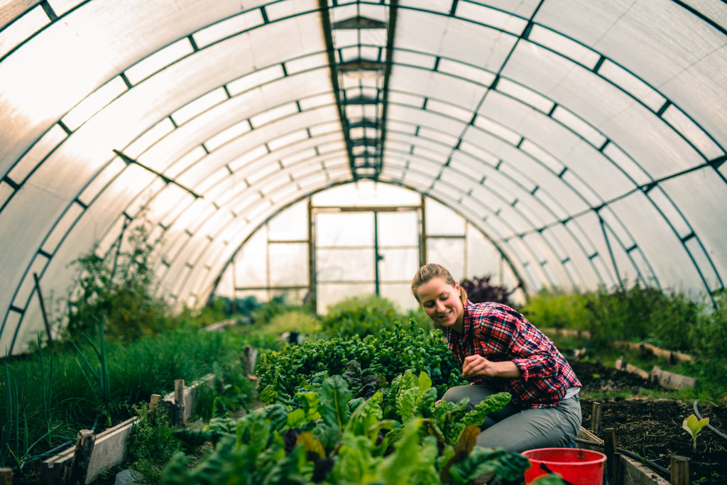 Bel’J : Améliore ton néerlandais ou ton allemand en immersion ! 🇧🇪 banner image