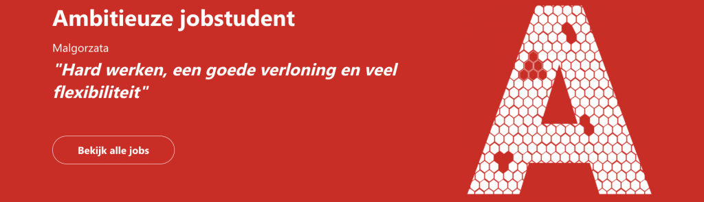 Katoen Natie verwelkomt meer dan 500 jobstudenten banner image