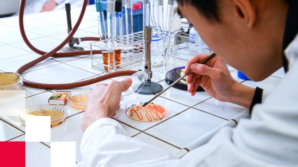 Faire des études en biotechnologie pharmaceutique 🎓 banner image