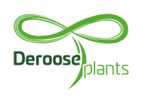 Deroose Plants NV