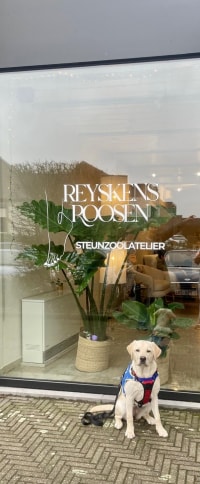 Steunzoolatelier Reyskens & Roosen
