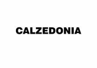Calzedonia Finanziaria S.A Belgium Branch