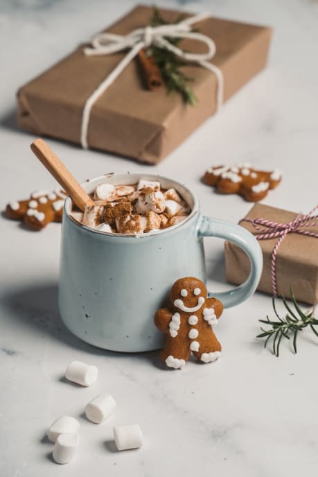 Gingerbread and cocoa with marshmellows