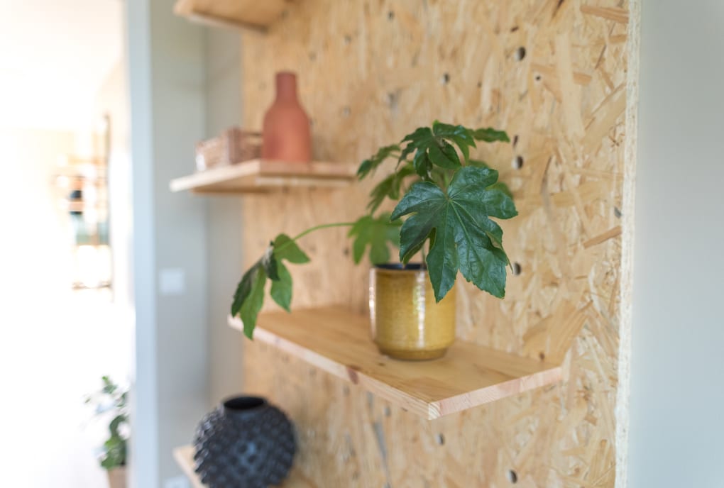 Shelf with plant at Kårstua, Klokkergården Student Housing in Vestfold