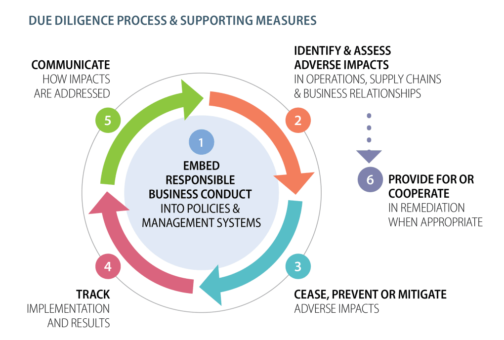 Due diligence process and supporting measures