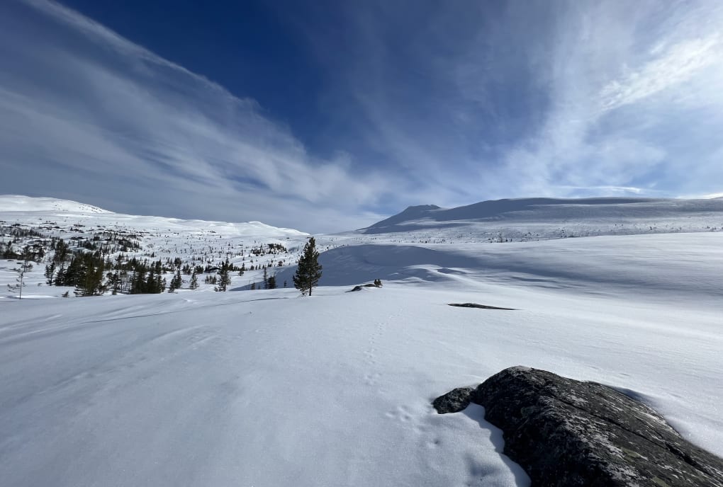 Snølandskap