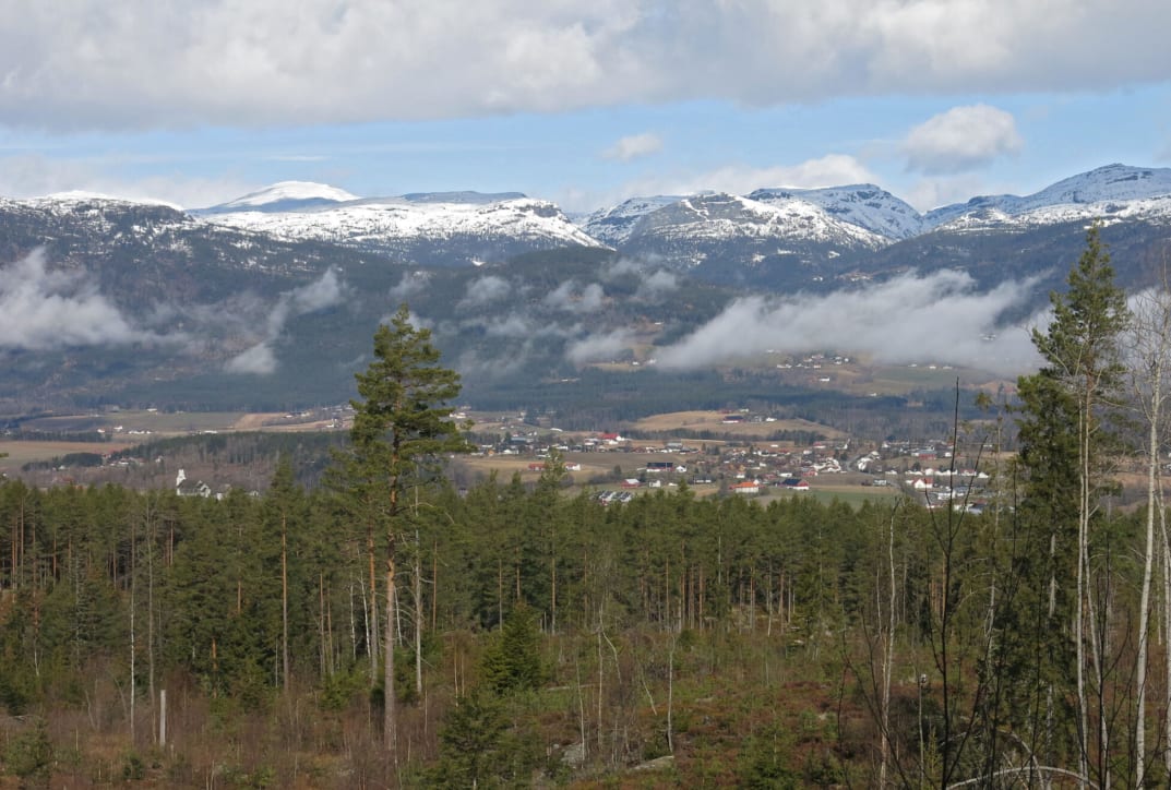 Go for a walk: Campus Bø - SSN