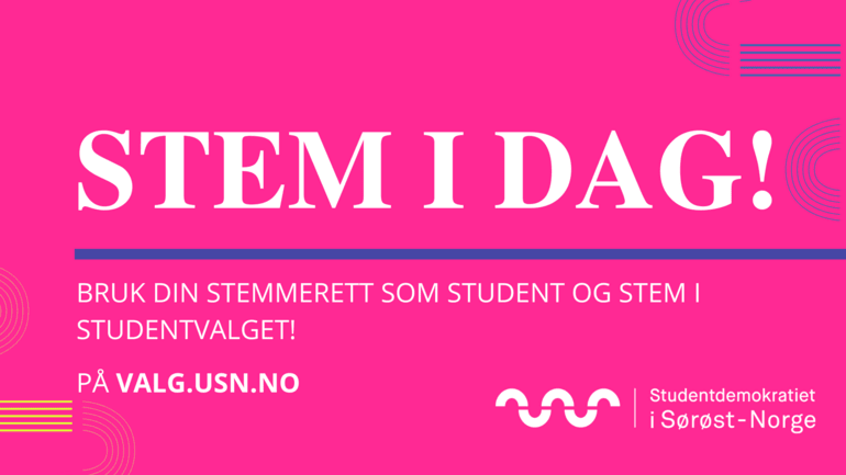 Forening/SDSN/stem_sdsn.png_article_q9vazc