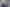 2017-01-28-tulipes-national-tulip-day-2017-11.jpg
