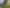 2017-06-17-foodtruck-festival-01.jpg