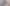 MG_1018.png