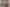 MG_1061.png