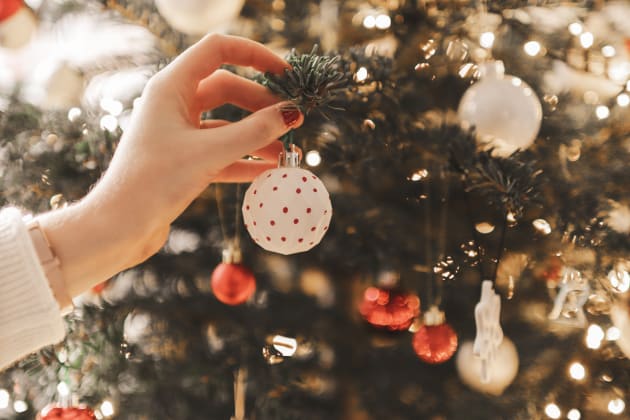 Mon premier Vrai sapin de Noël