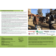 Addis Ketema - Site Summary .pdf