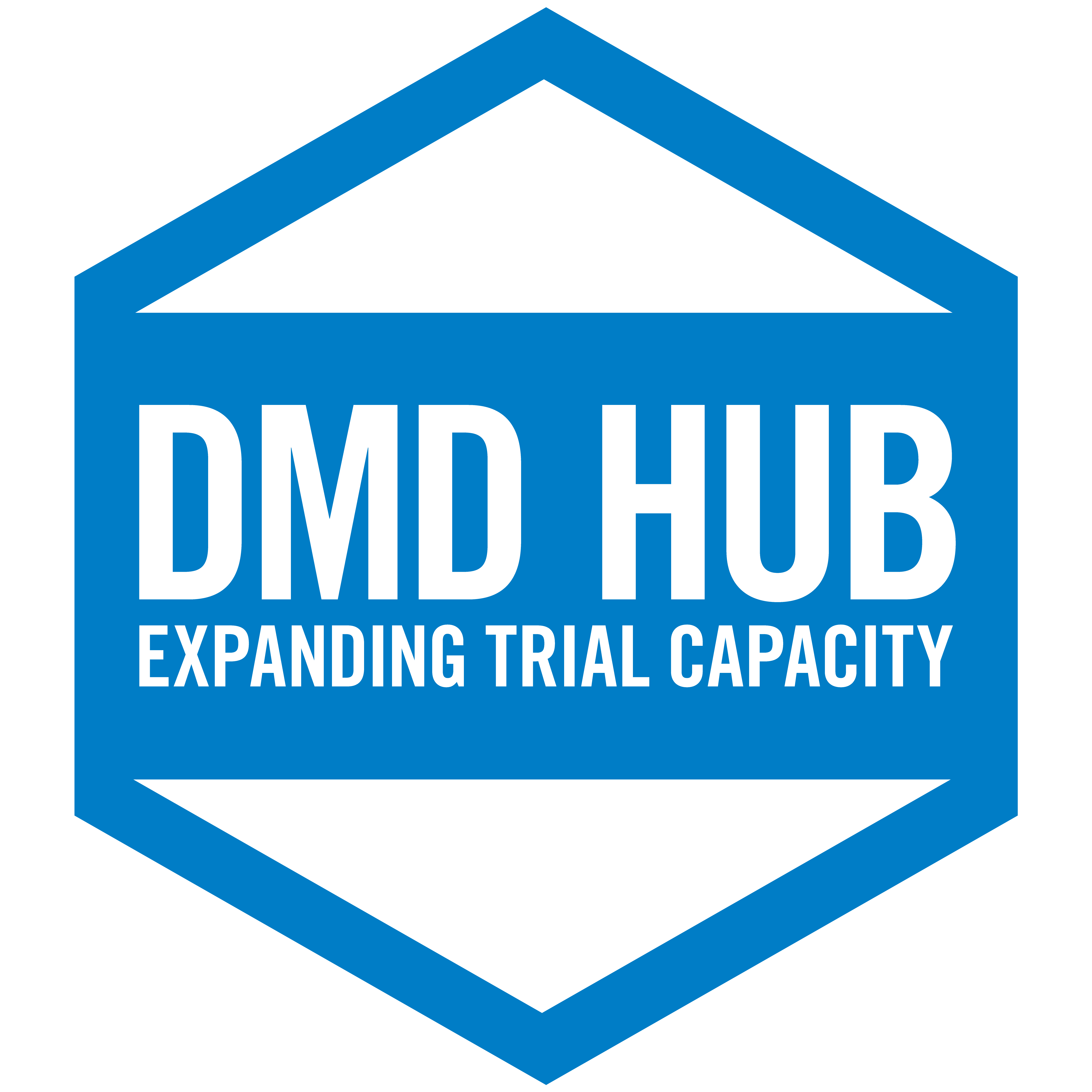DMD Hub logo