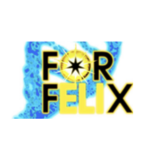 For Felix FFF Logo