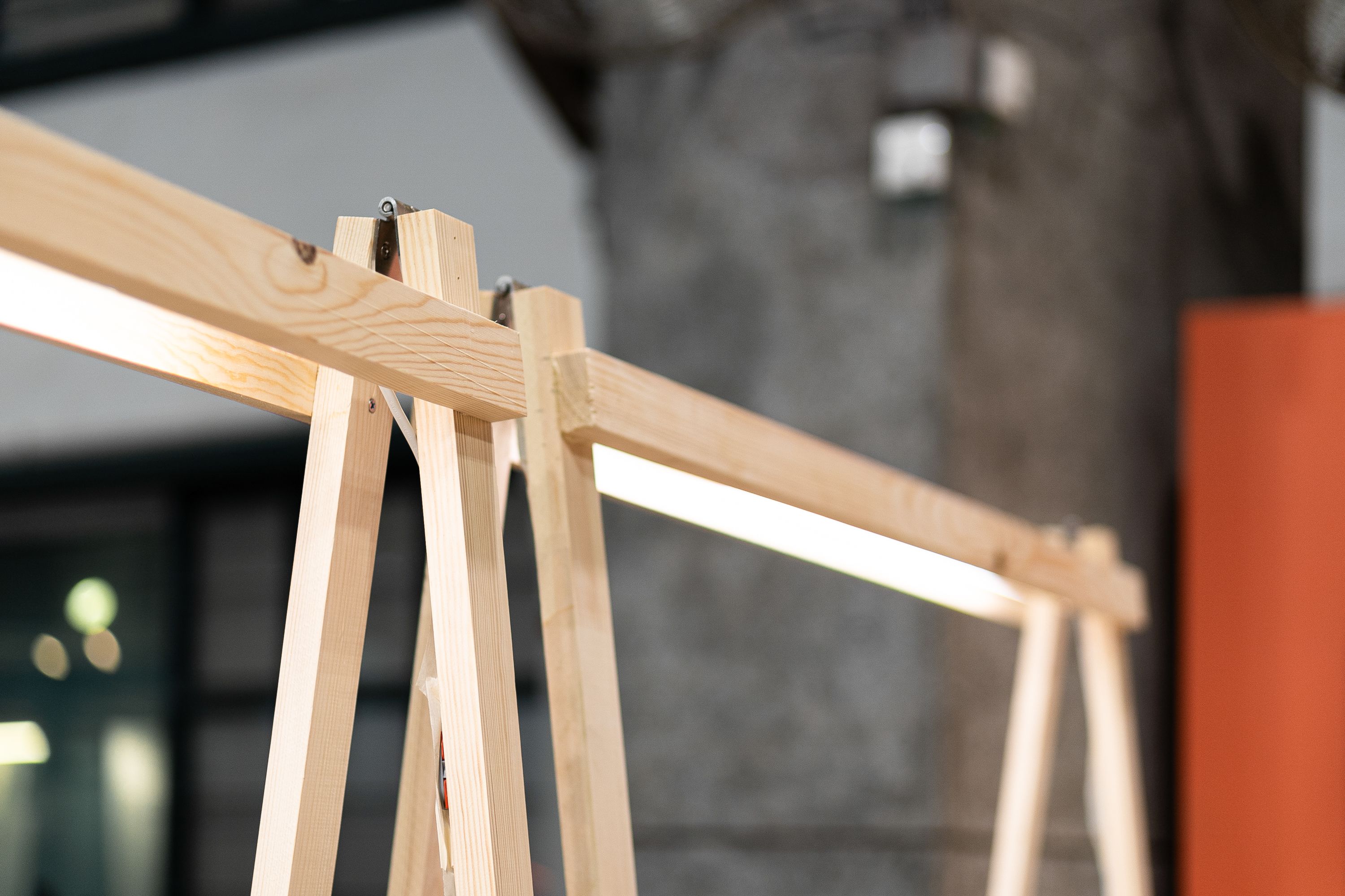 deTour Plant Matters display frame light close up