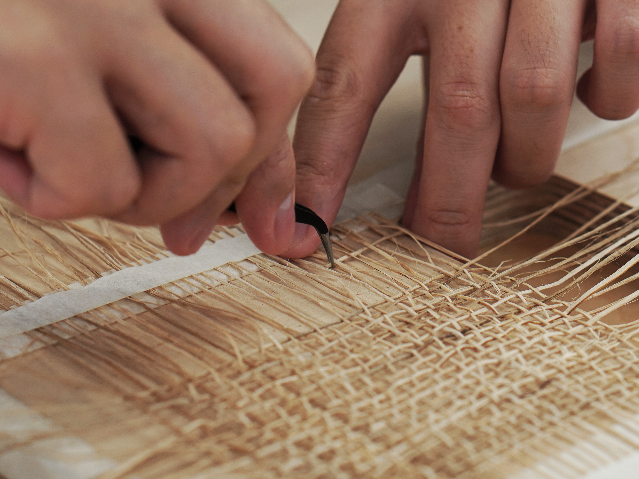 Sustainability process