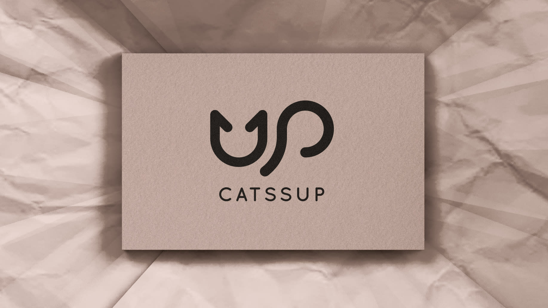Catssup