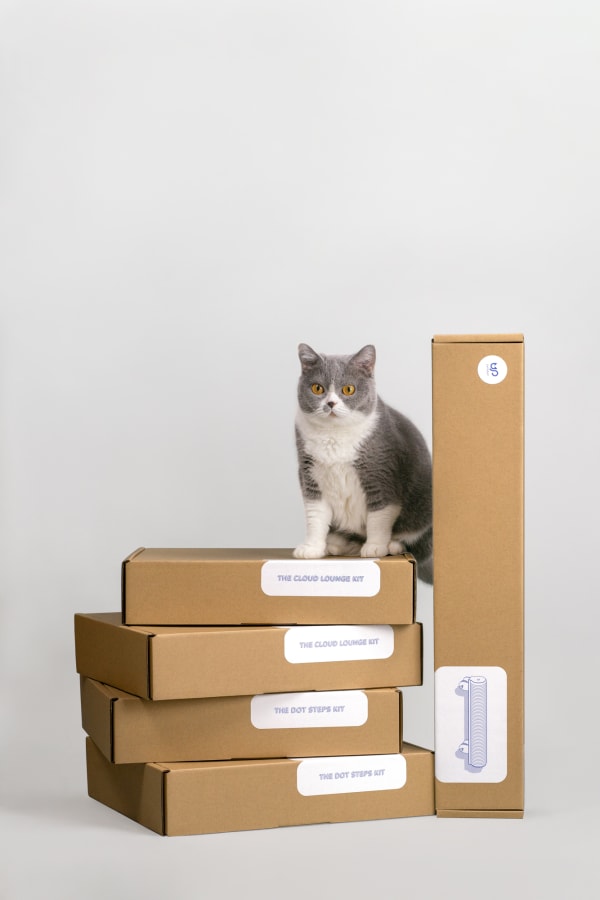 Catssup