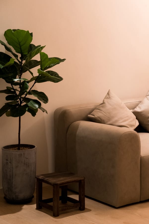 Zi Massage & Wellness