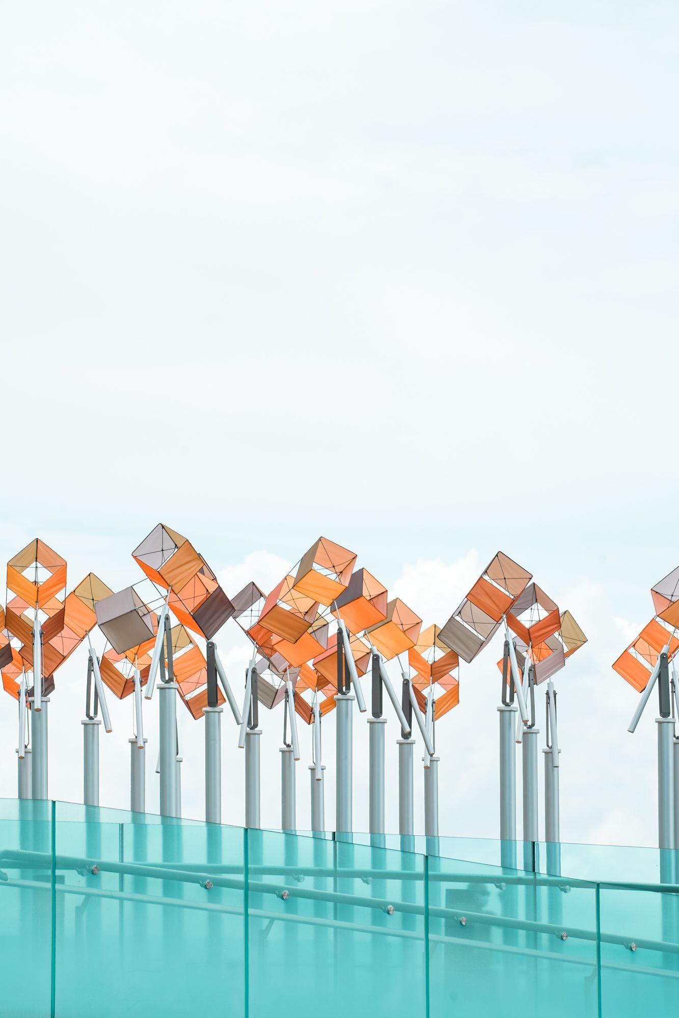 In the Wind wide shot