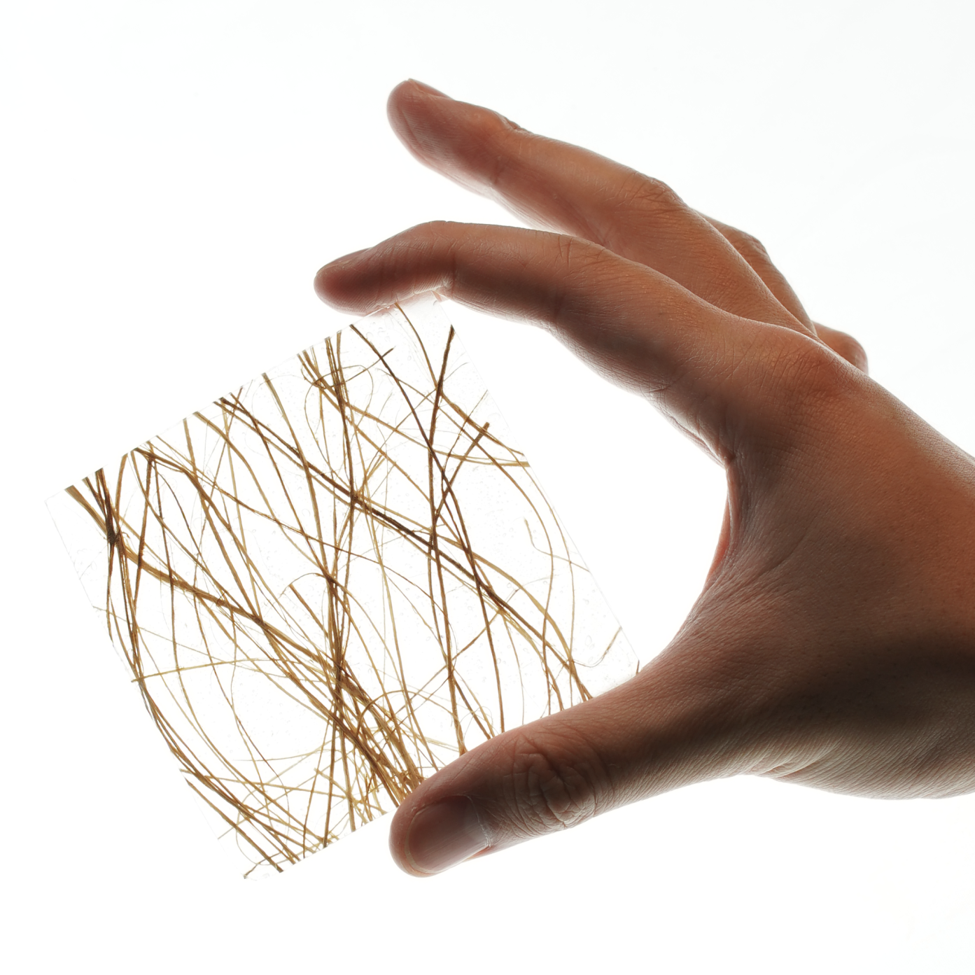 Sustainability process