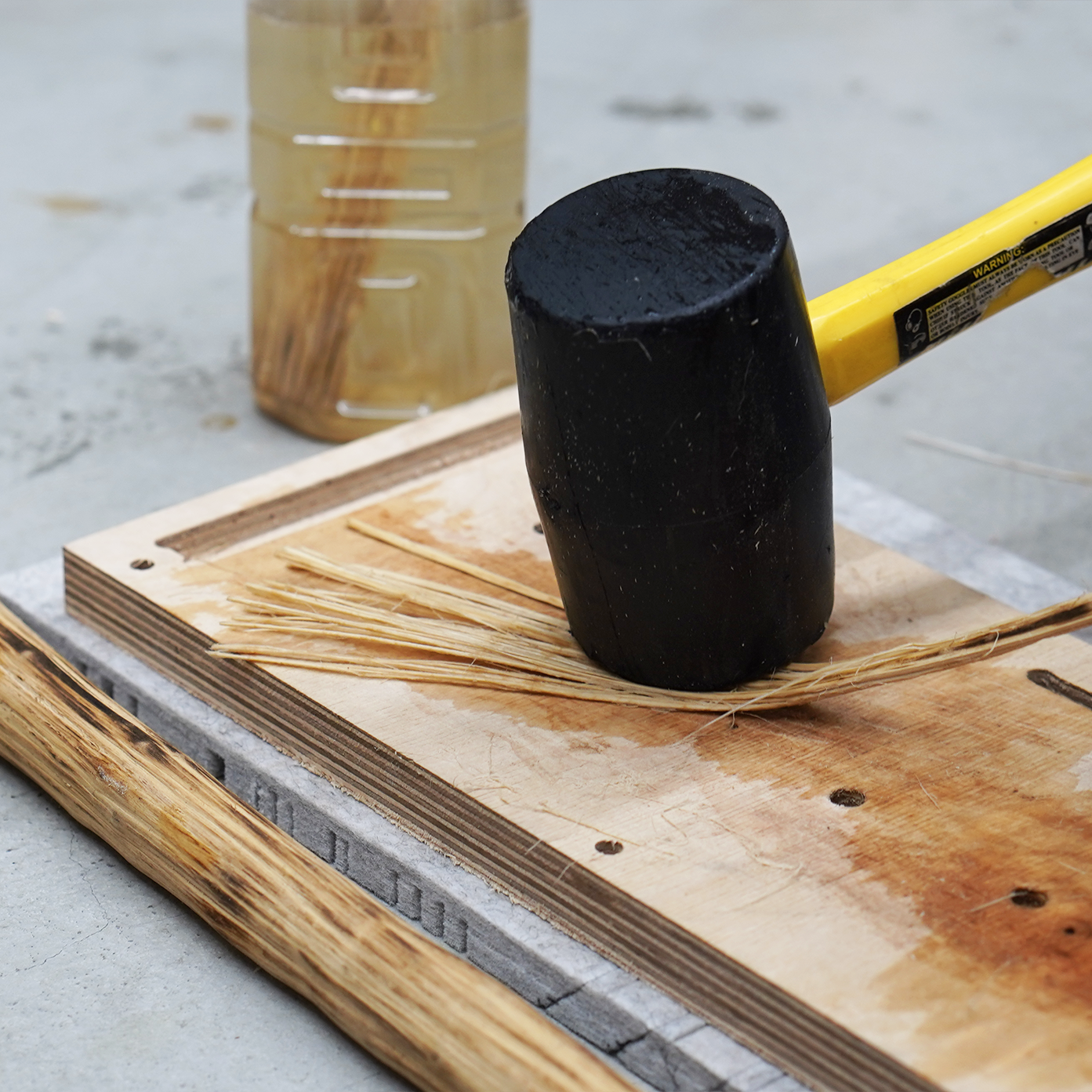 Sustainability process